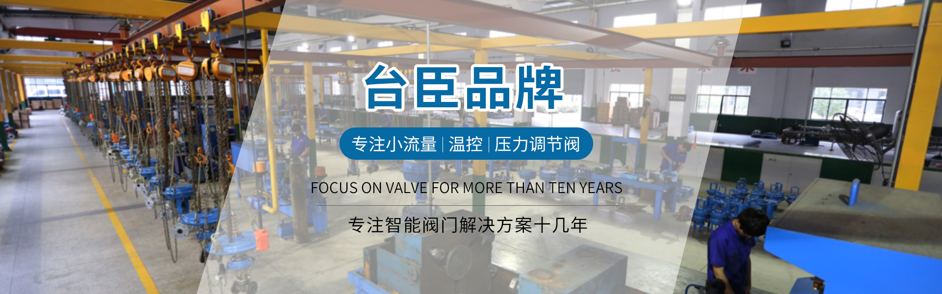 臺(tái)臣閥門-免費(fèi)拿樣、提供方案、3年質(zhì)保